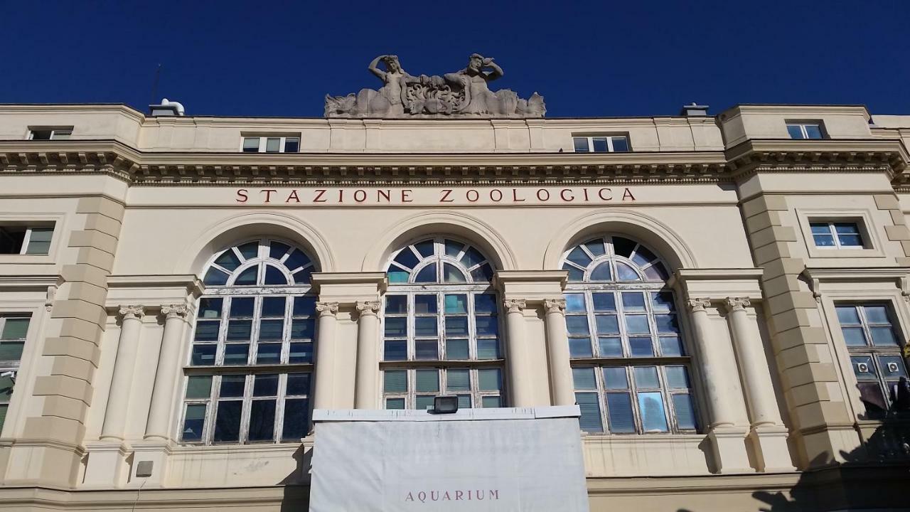Ai Baretti B&B Neapol Zewnętrze zdjęcie